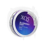 XQS - Blueberry Mint - Strong